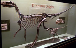 dinosaurus skelet slika