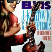 elvis j kurtovich