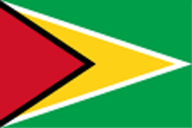 Gvajana zastava