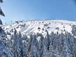 kopaonik ski staze pogled